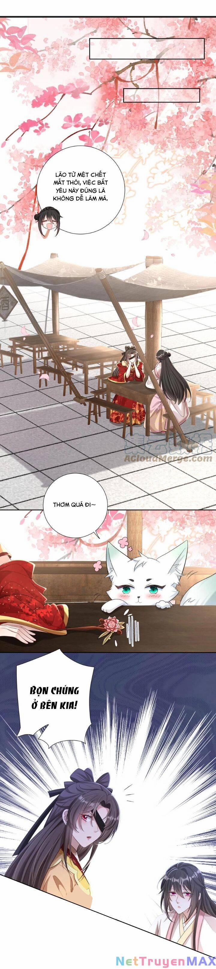 Chuyển Sinh: Thần Y Quận Chúa Khuynh Thiên Hạ 20 trang 5