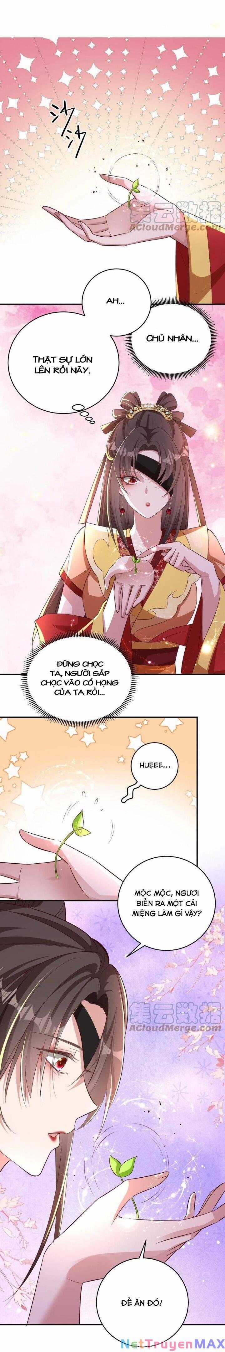 Chuyển Sinh: Thần Y Quận Chúa Khuynh Thiên Hạ 25 trang 4