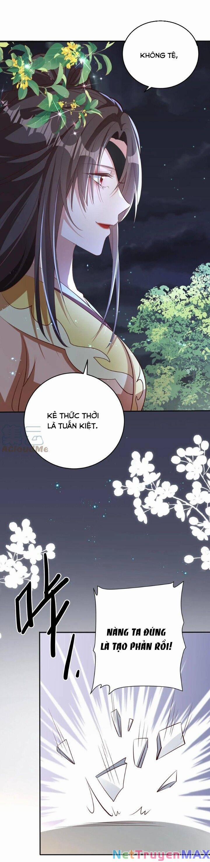 Chuyển Sinh: Thần Y Quận Chúa Khuynh Thiên Hạ 27 trang 4