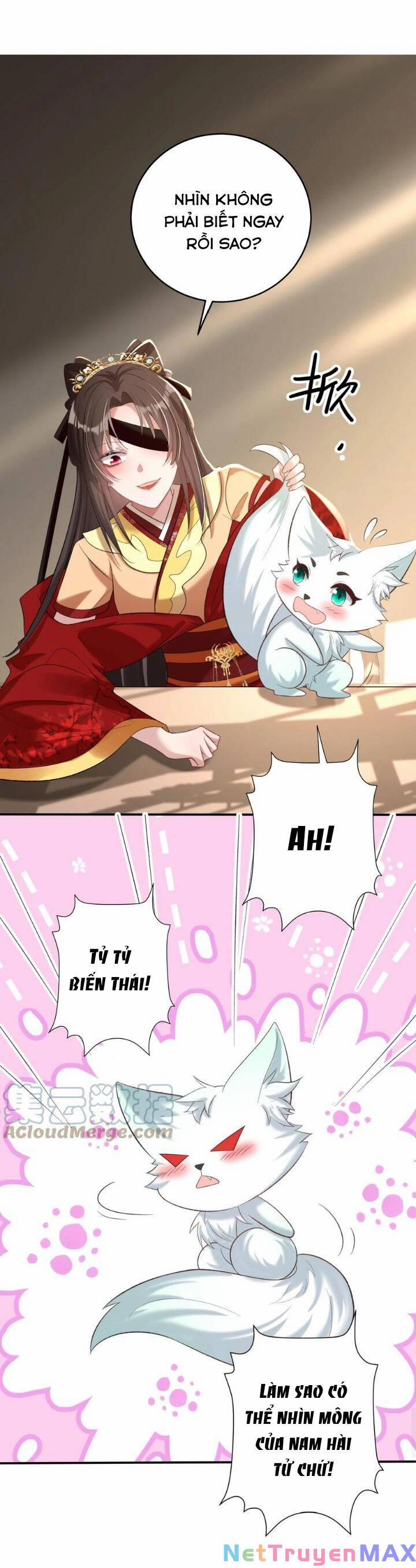 Chuyển Sinh: Thần Y Quận Chúa Khuynh Thiên Hạ 28 trang 6