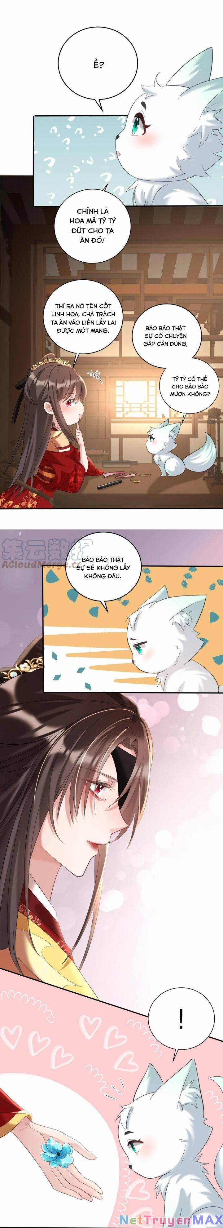 Chuyển Sinh: Thần Y Quận Chúa Khuynh Thiên Hạ 29 trang 4