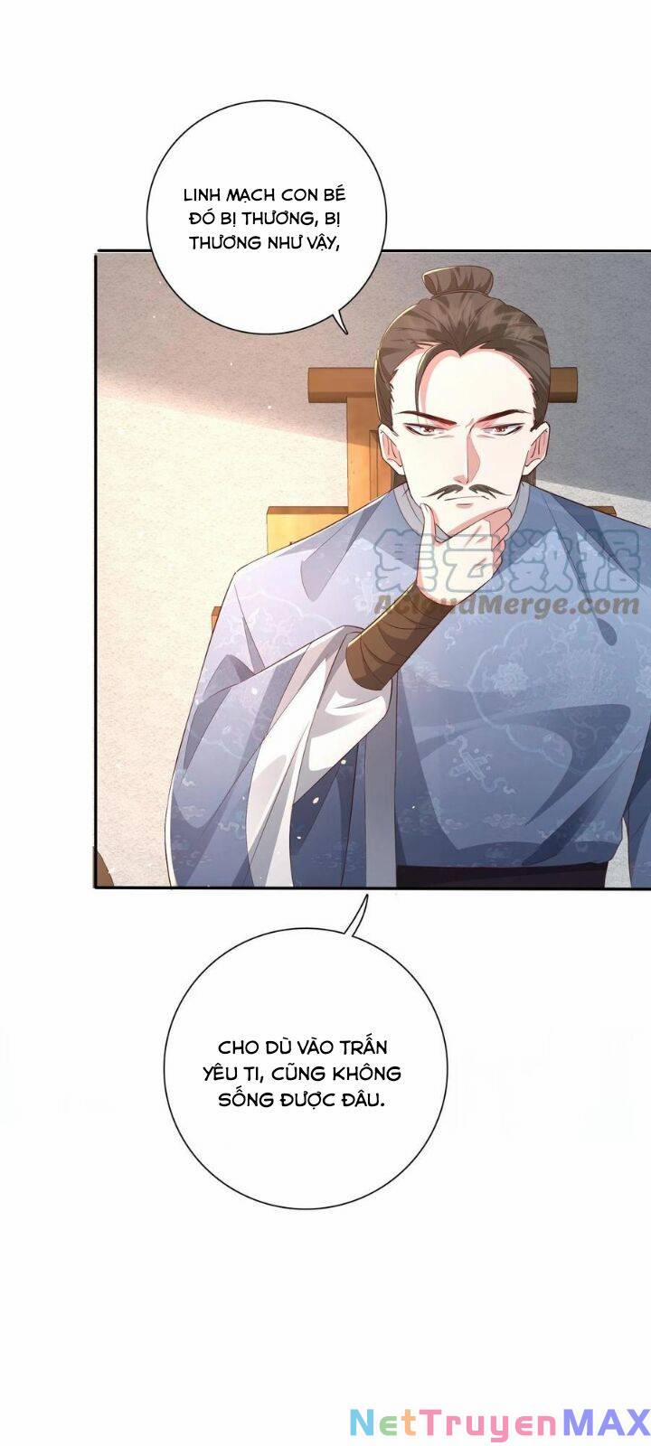 Chuyển Sinh: Thần Y Quận Chúa Khuynh Thiên Hạ 3 trang 13