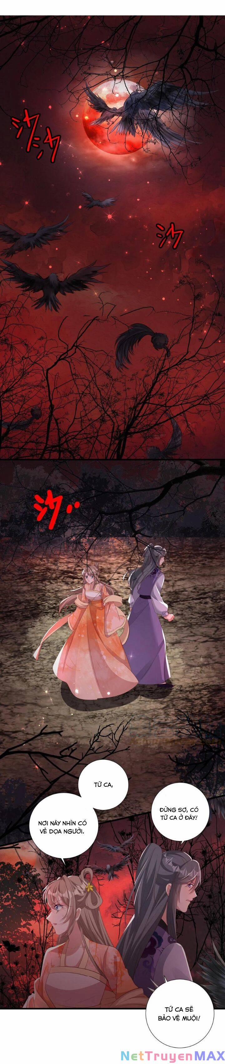 Chuyển Sinh: Thần Y Quận Chúa Khuynh Thiên Hạ 36 trang 2