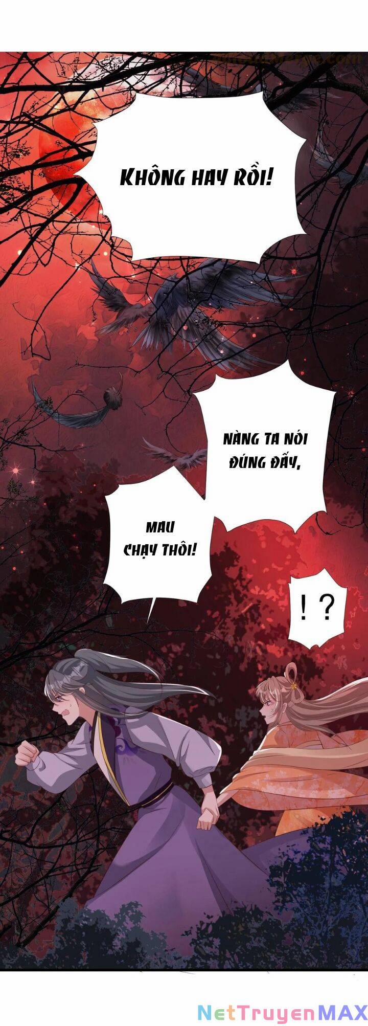 Chuyển Sinh: Thần Y Quận Chúa Khuynh Thiên Hạ 36 trang 5