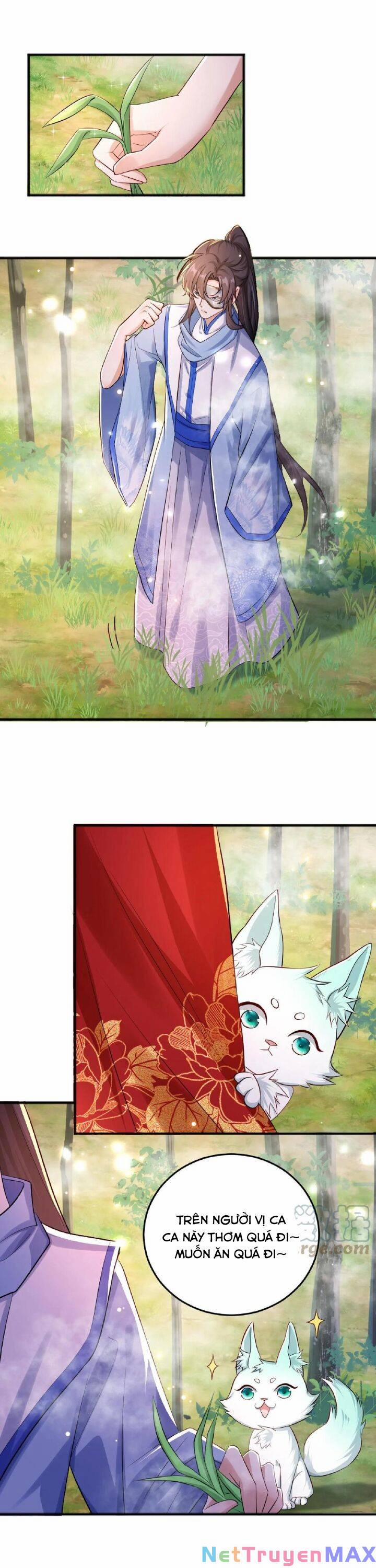 Chuyển Sinh: Thần Y Quận Chúa Khuynh Thiên Hạ 39 trang 2