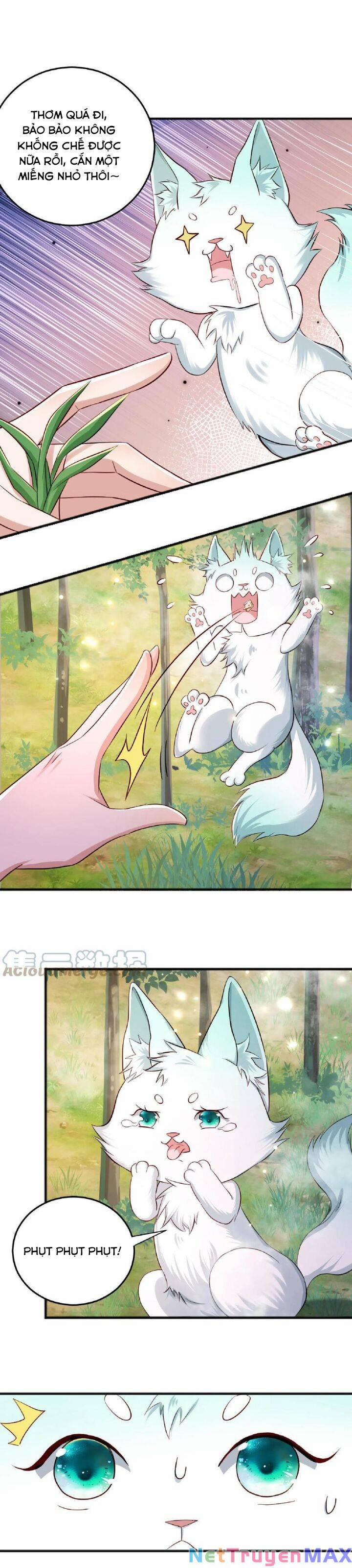 Chuyển Sinh: Thần Y Quận Chúa Khuynh Thiên Hạ 39 trang 3