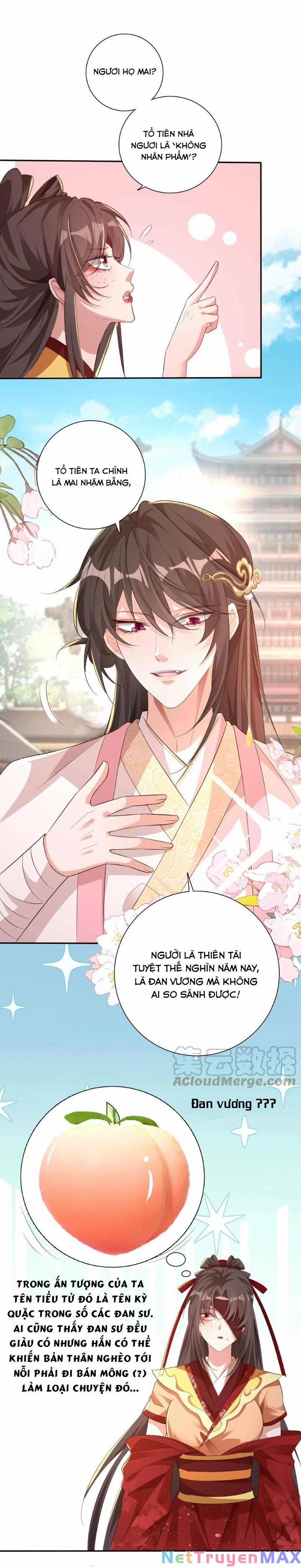 Chuyển Sinh: Thần Y Quận Chúa Khuynh Thiên Hạ 4 trang 6