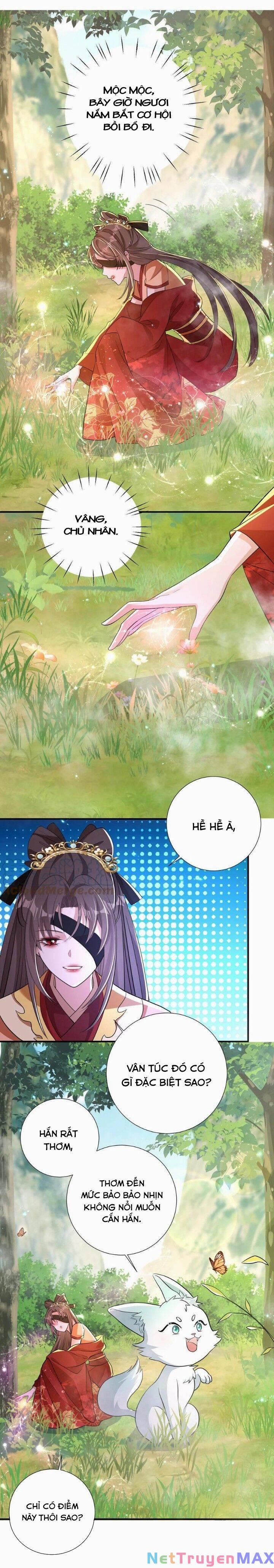 Chuyển Sinh: Thần Y Quận Chúa Khuynh Thiên Hạ 40 trang 4