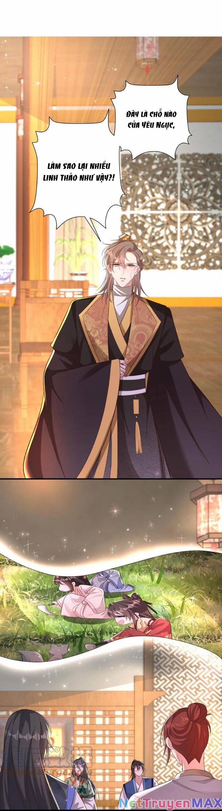 Chuyển Sinh: Thần Y Quận Chúa Khuynh Thiên Hạ 41 trang 2