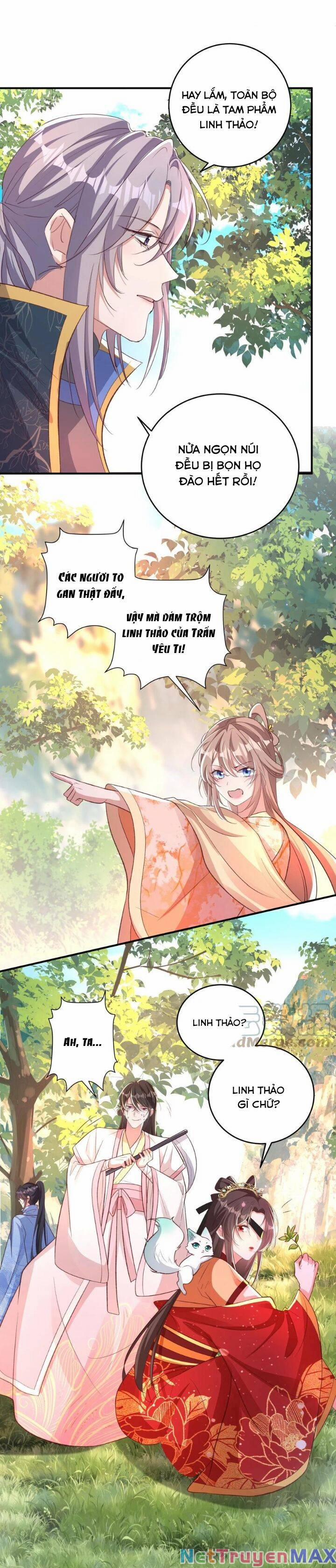 Chuyển Sinh: Thần Y Quận Chúa Khuynh Thiên Hạ 41 trang 5