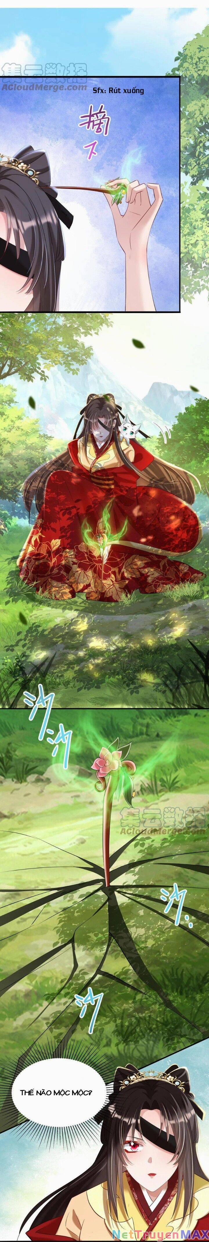 Chuyển Sinh: Thần Y Quận Chúa Khuynh Thiên Hạ 42 trang 4