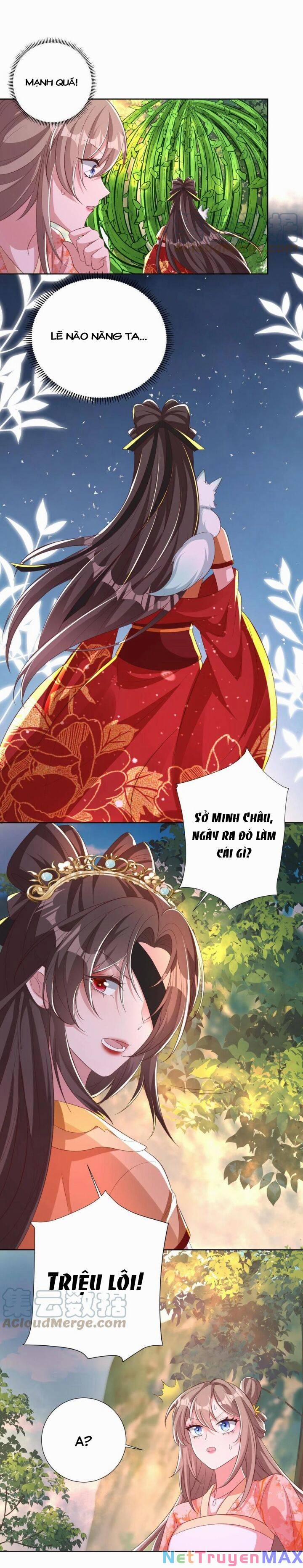 Chuyển Sinh: Thần Y Quận Chúa Khuynh Thiên Hạ 46 trang 3