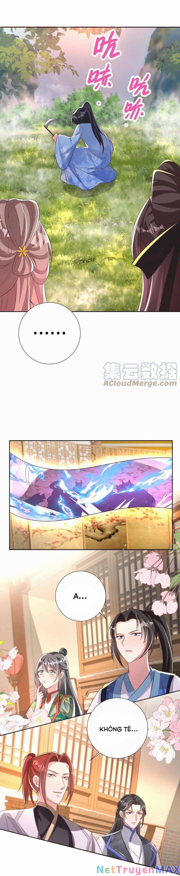 Chuyển Sinh: Thần Y Quận Chúa Khuynh Thiên Hạ 46 trang 7