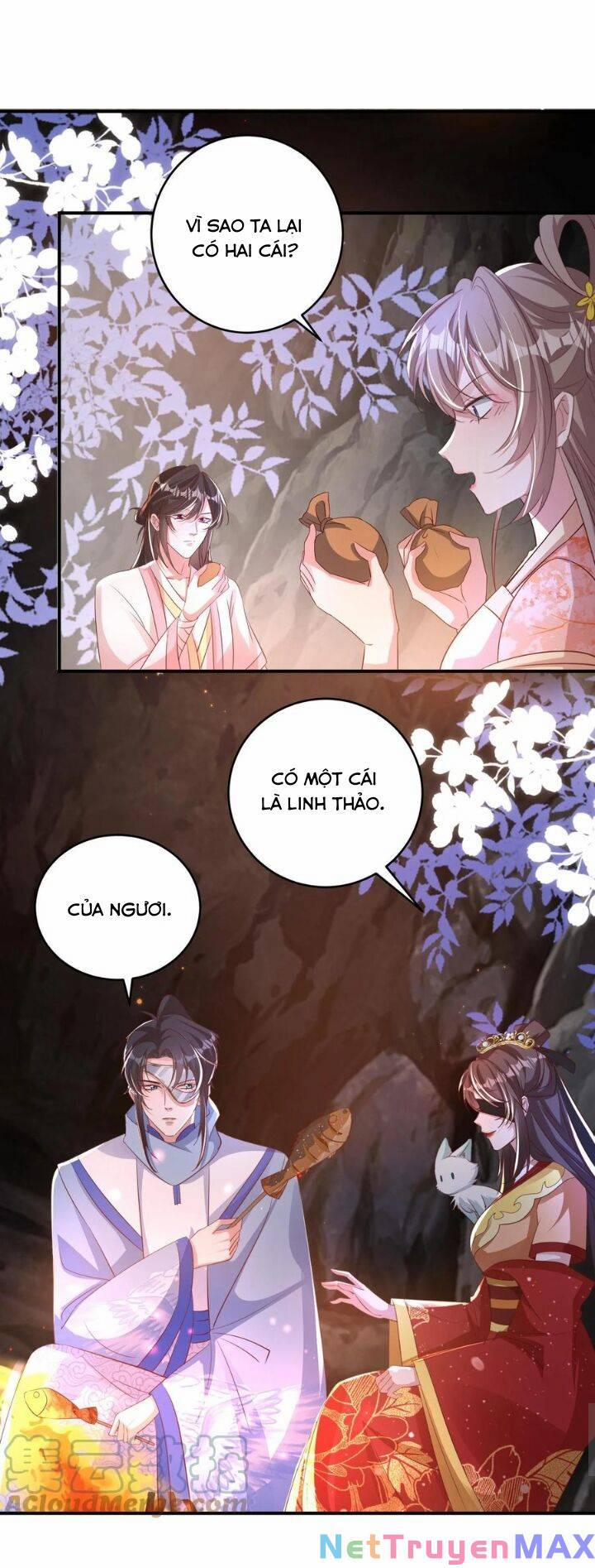 Chuyển Sinh: Thần Y Quận Chúa Khuynh Thiên Hạ 49 trang 7