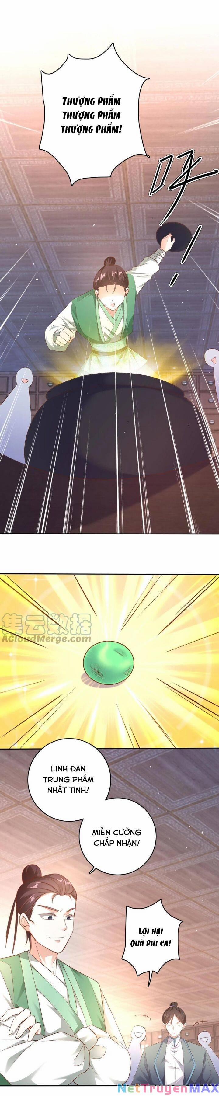 Chuyển Sinh: Thần Y Quận Chúa Khuynh Thiên Hạ 5 trang 13