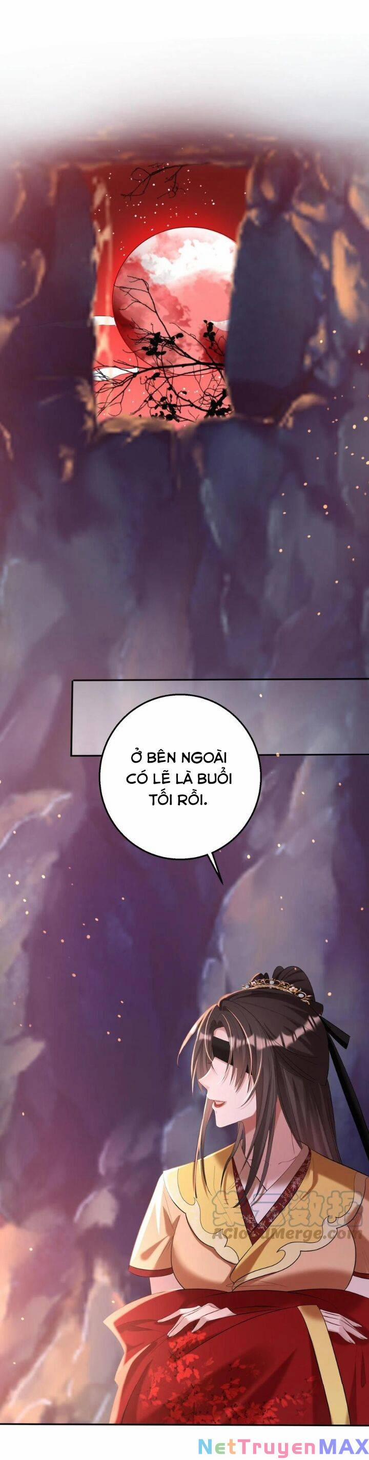 Chuyển Sinh: Thần Y Quận Chúa Khuynh Thiên Hạ 50 trang 2