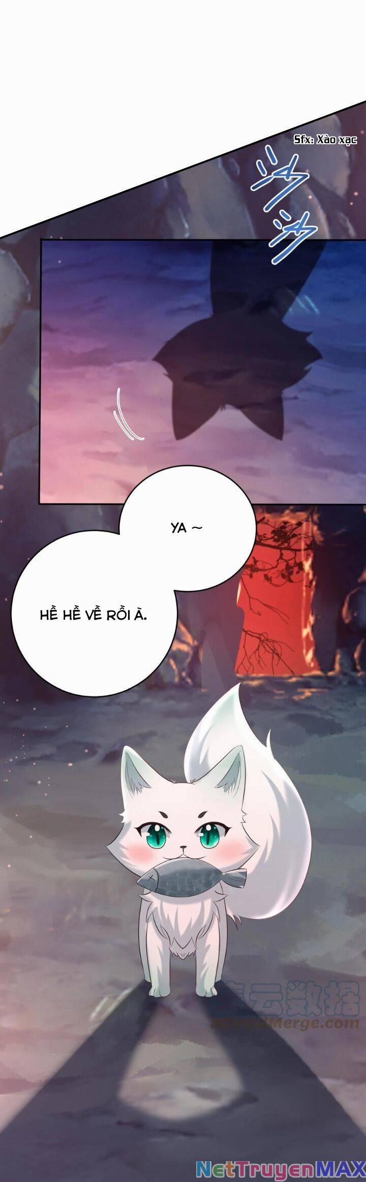 Chuyển Sinh: Thần Y Quận Chúa Khuynh Thiên Hạ 50 trang 4