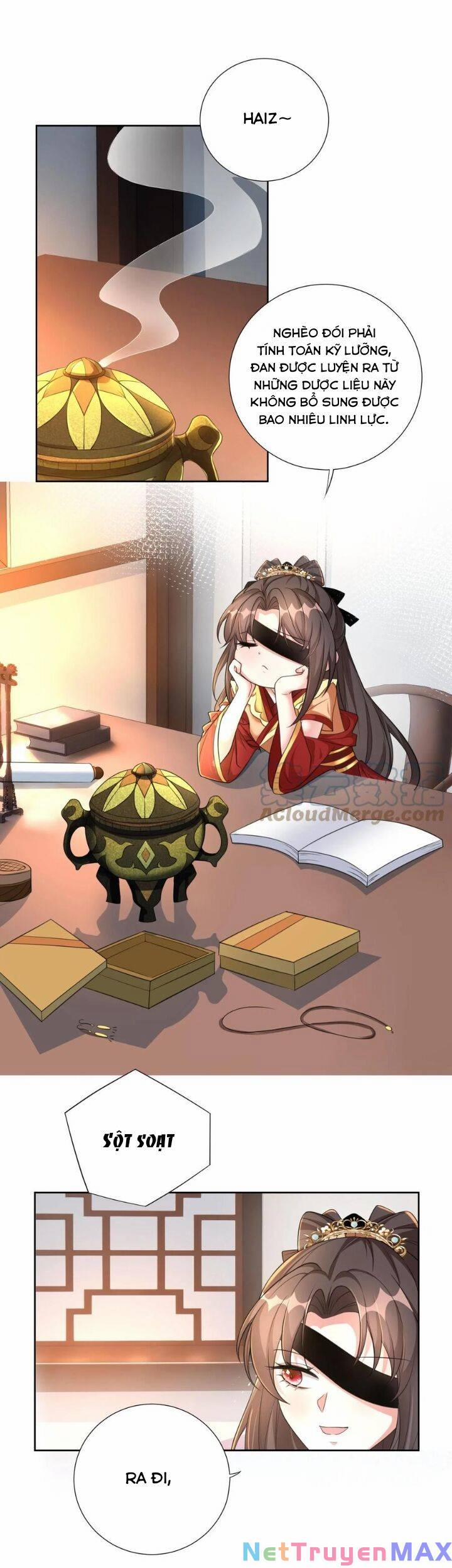 Chuyển Sinh: Thần Y Quận Chúa Khuynh Thiên Hạ 6 trang 12