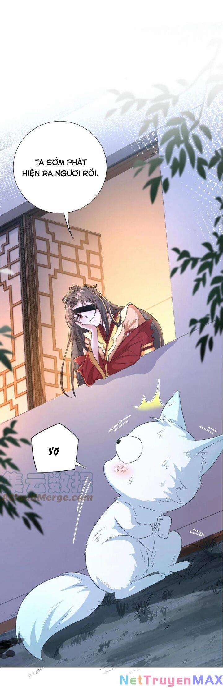 Chuyển Sinh: Thần Y Quận Chúa Khuynh Thiên Hạ 6 trang 13