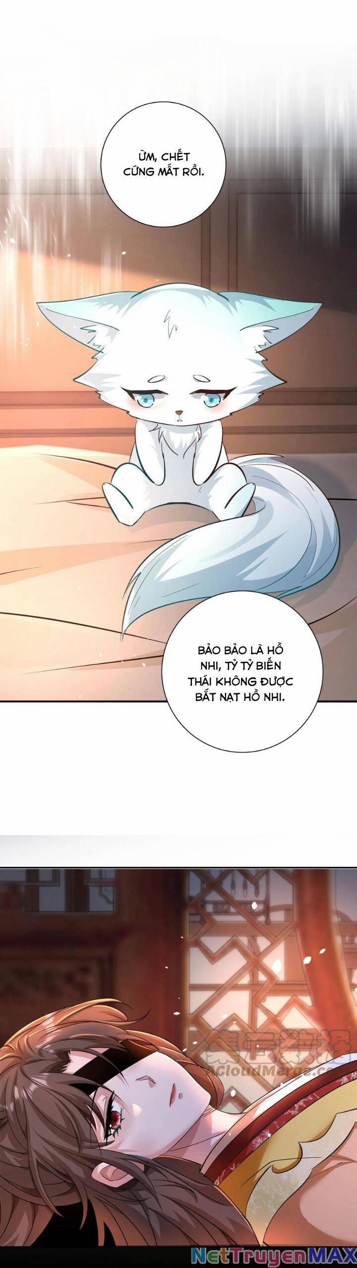 Chuyển Sinh: Thần Y Quận Chúa Khuynh Thiên Hạ 7 trang 8