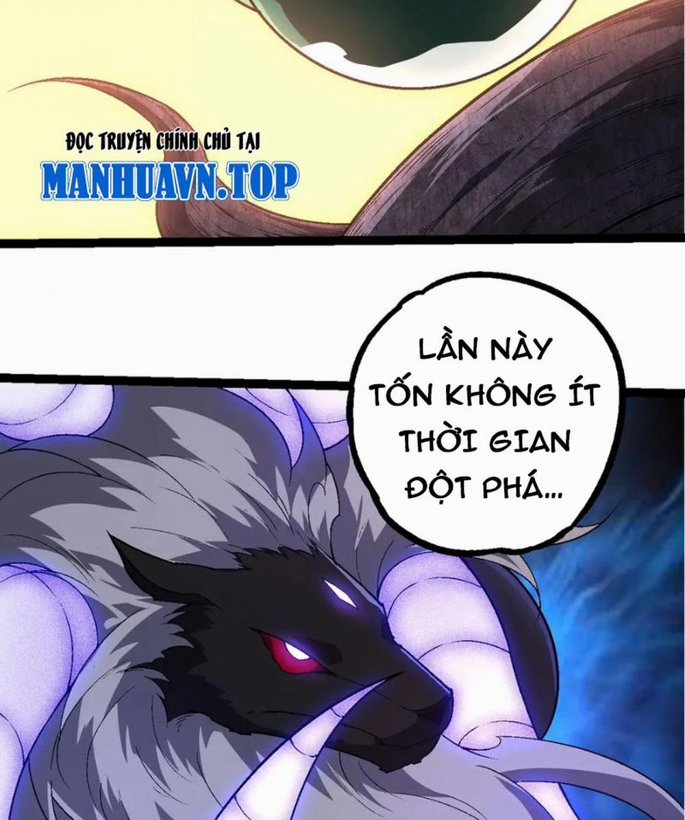 Chuyển Sinh Thành Liễu Đột Biến 251 trang 17