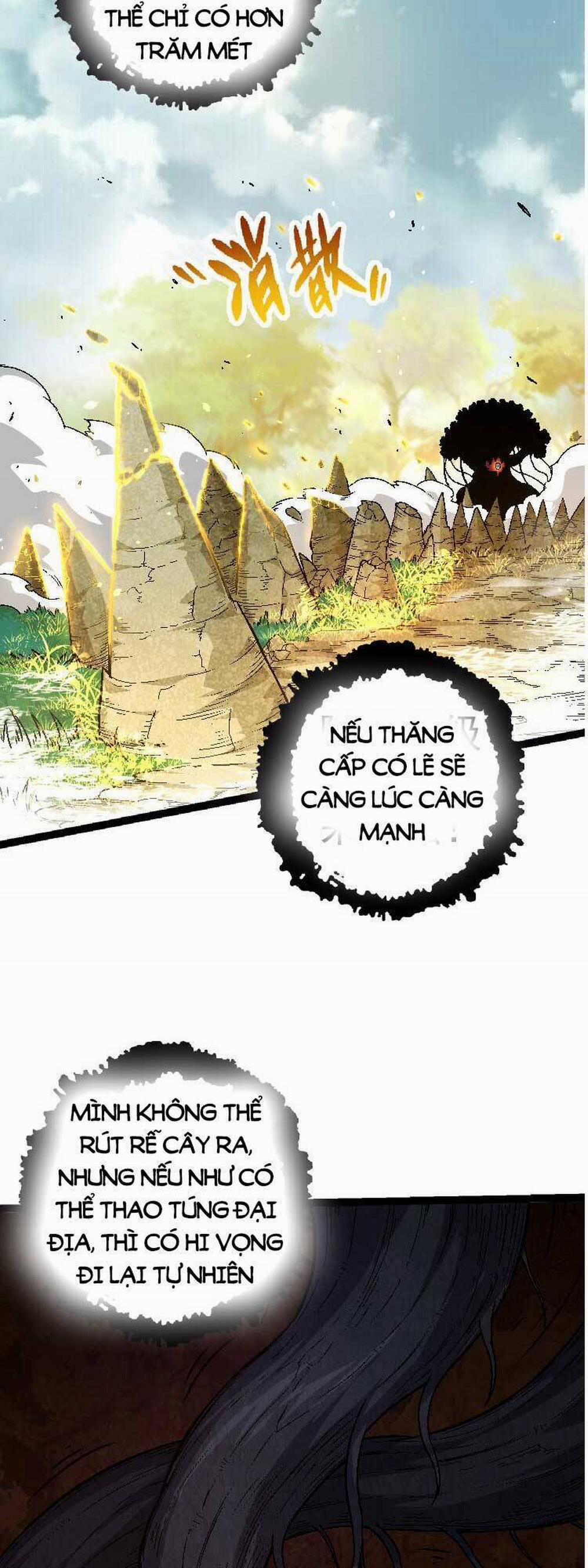 Chuyển Sinh Thành Liễu Đột Biến 28 trang 13