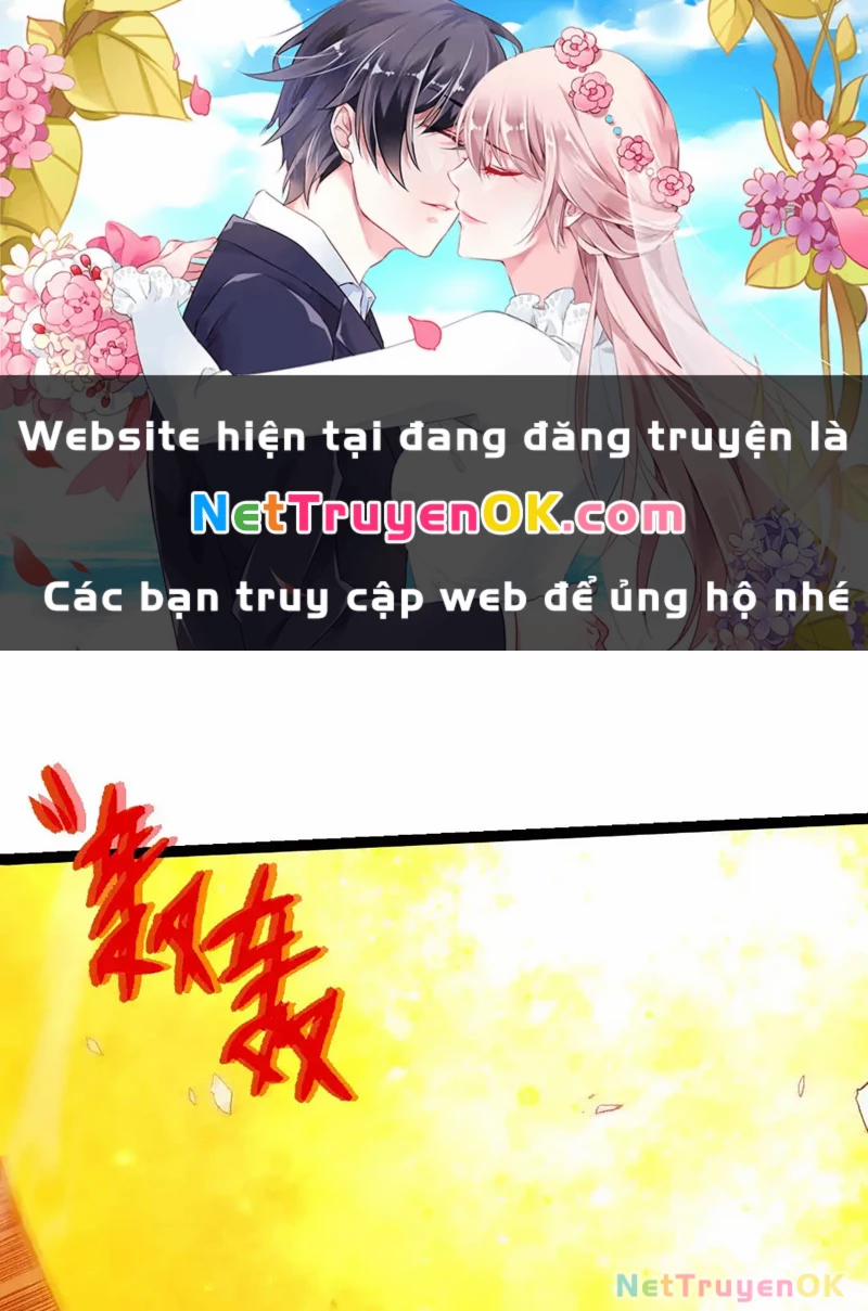 Chuyển Sinh Thành Liễu Đột Biến 298 trang 0