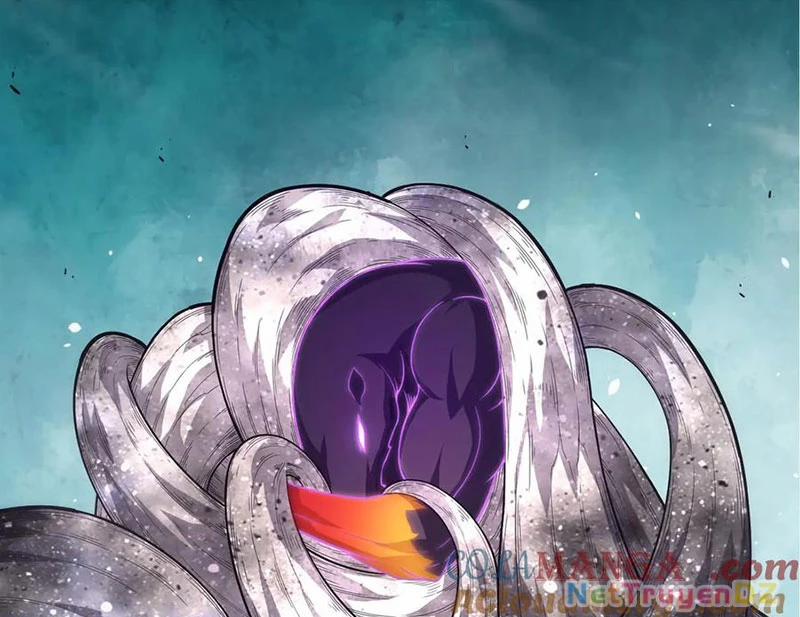 Chuyển Sinh Thành Liễu Đột Biến 311 trang 12