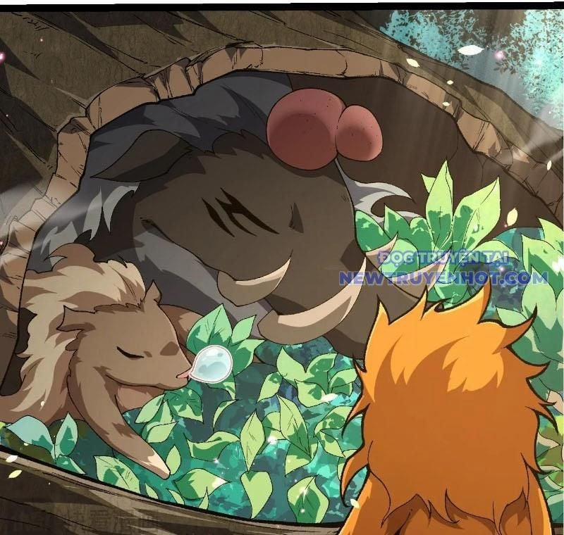 Chuyển Sinh Thành Liễu Đột Biến 322 trang 9