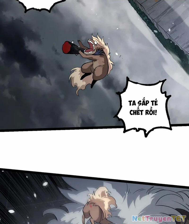 Chuyển Sinh Thành Liễu Đột Biến 325 trang 12