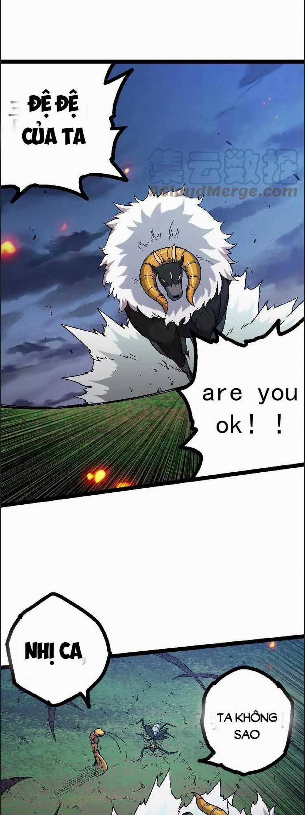 Chuyển Sinh Thành Liễu Đột Biến 42 trang 12