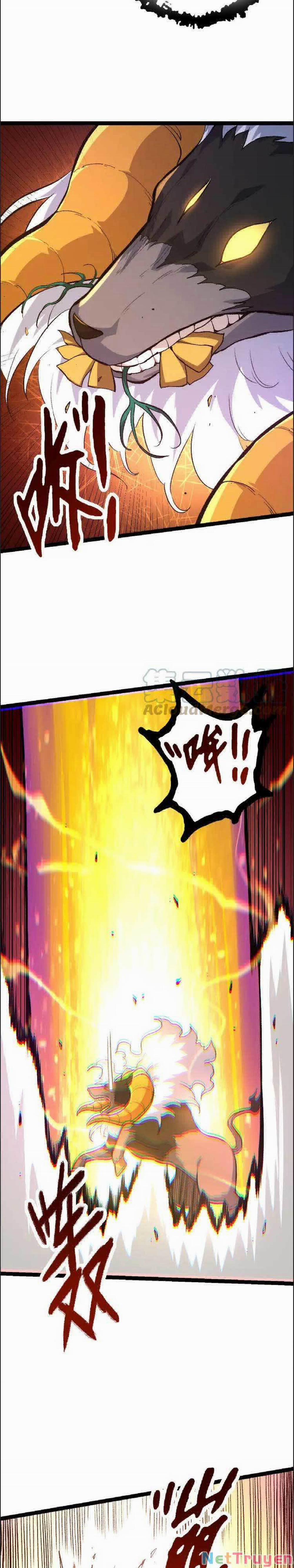 Chuyển Sinh Thành Liễu Đột Biến 43 trang 14