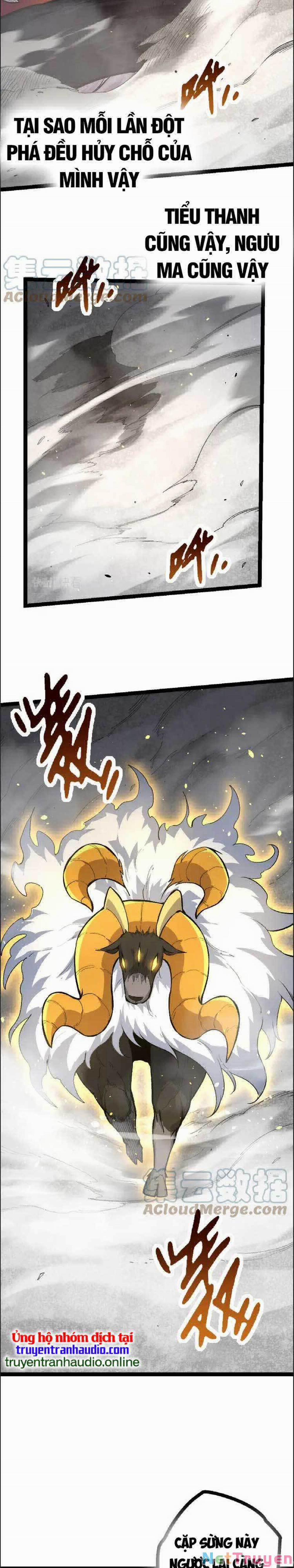 Chuyển Sinh Thành Liễu Đột Biến 43 trang 16