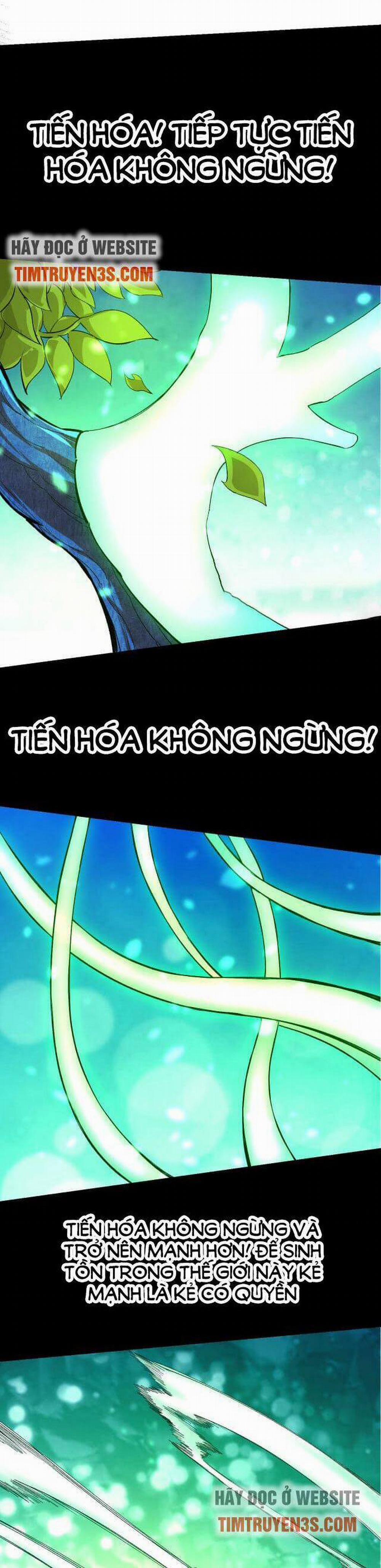 Chuyển Sinh Thành Liễu Đột Biến 6 trang 3