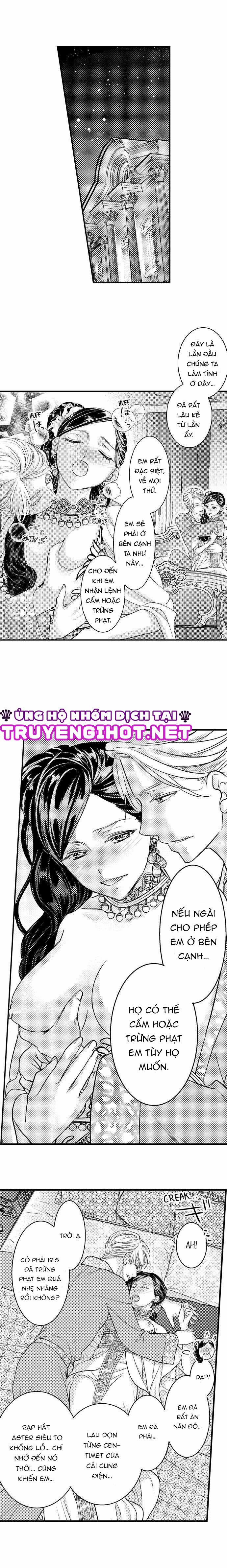 Chuyển Sinh Vào Thế Giới Khác ~ Nếu Muốn Trở Thành Nữ Hoàng Hãy Tìm Cách Để Được Hoàng Đế Sủng Ái Vào Ban Đêm 32.1 trang 2