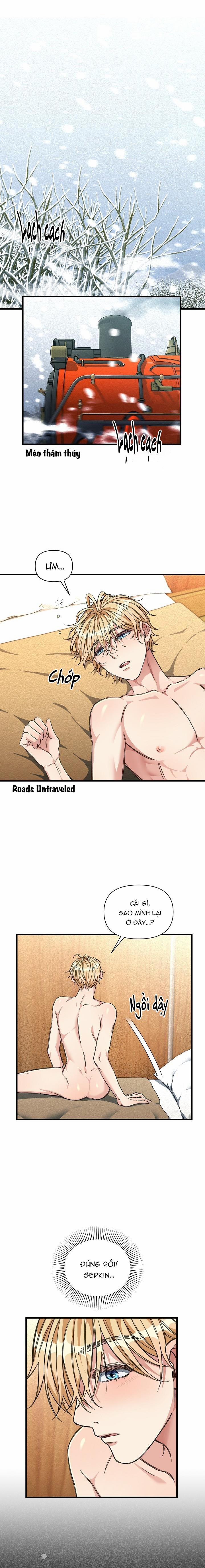 Chuyến Tàu Cuồng Loạn 12 trang 0