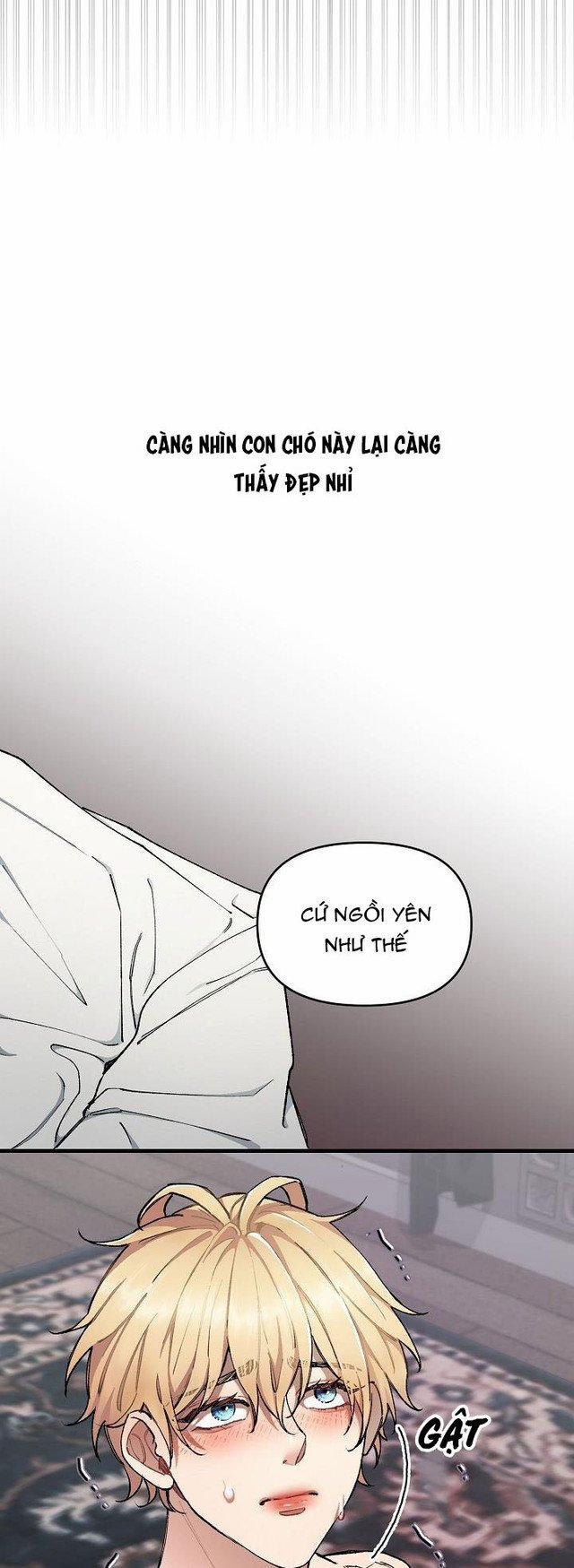 Chuyến Tàu Cuồng Loạn 30 trang 44