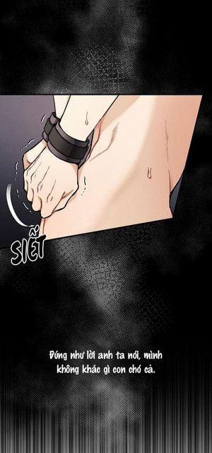 Chuyến Tàu Cuồng Loạn 32 trang 21