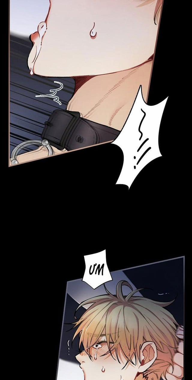 Chuyến Tàu Cuồng Loạn 33 (H+) trang 5