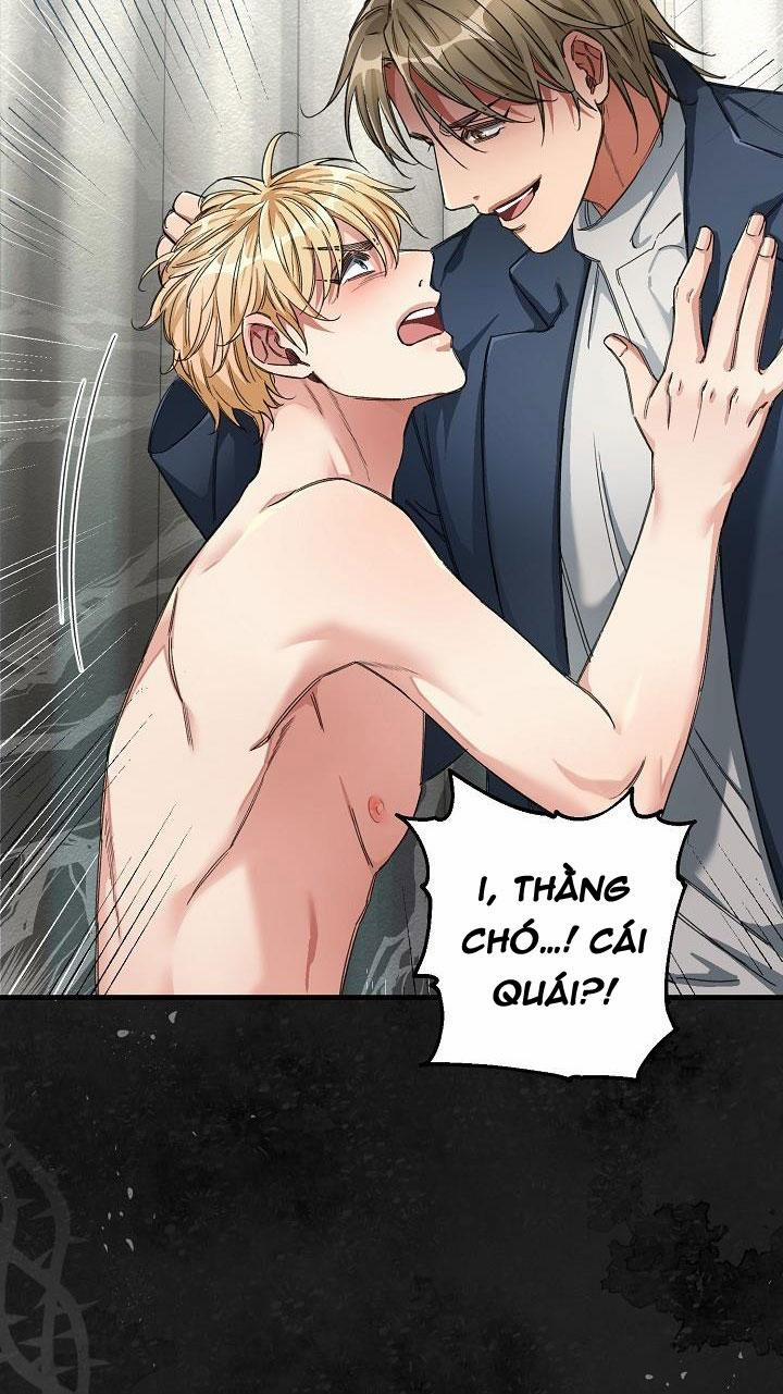 CHUYẾN TÀU ĐIÊN CUỒNG 20 trang 12