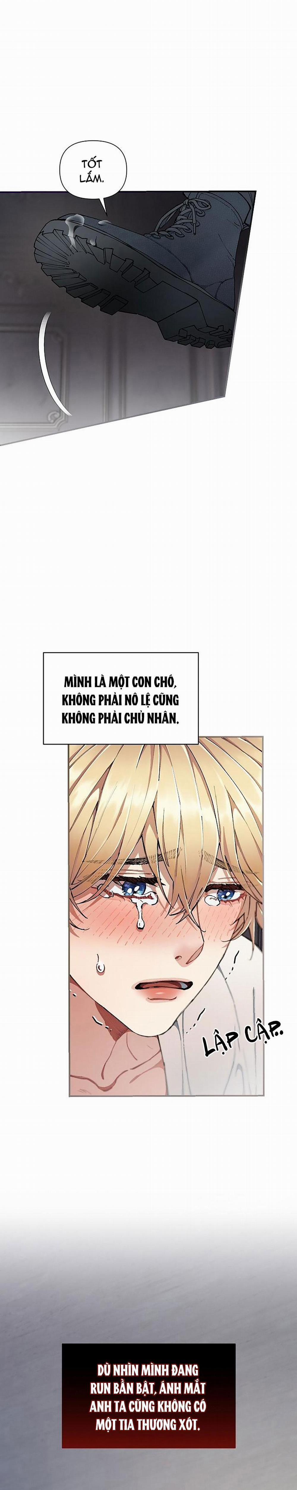 CHUYẾN TÀU ĐIÊN CUỒNG 30 trang 22