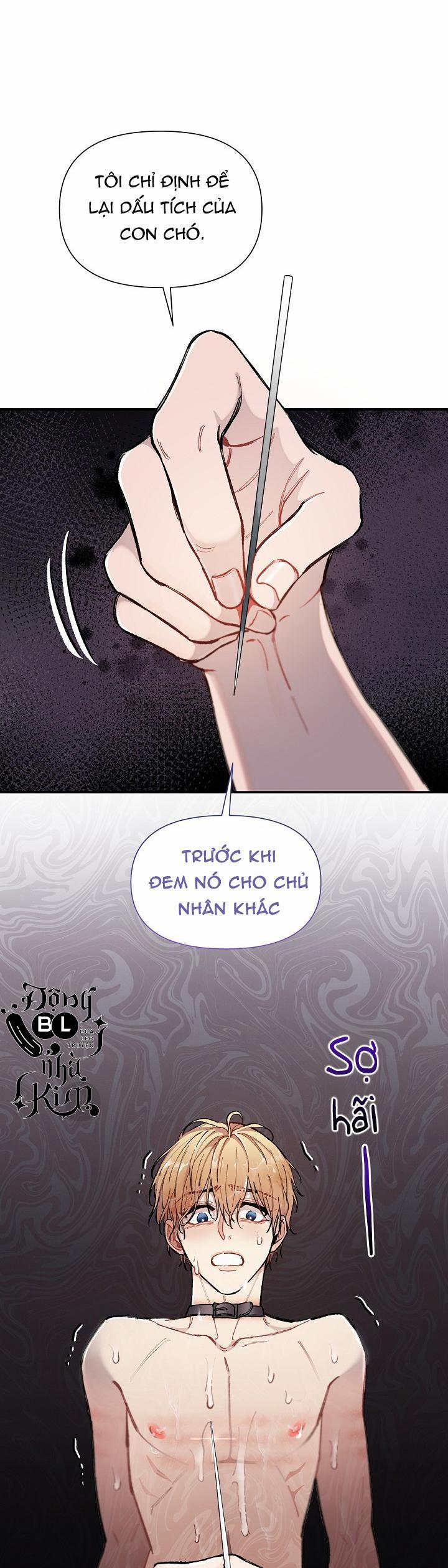 CHUYẾN TÀU ĐIÊN CUỒNG 36 trang 65