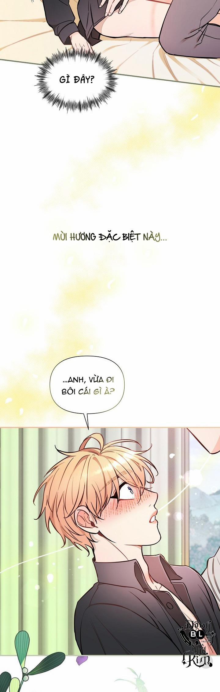 CHUYẾN TÀU ĐIÊN CUỒNG 40 trang 21