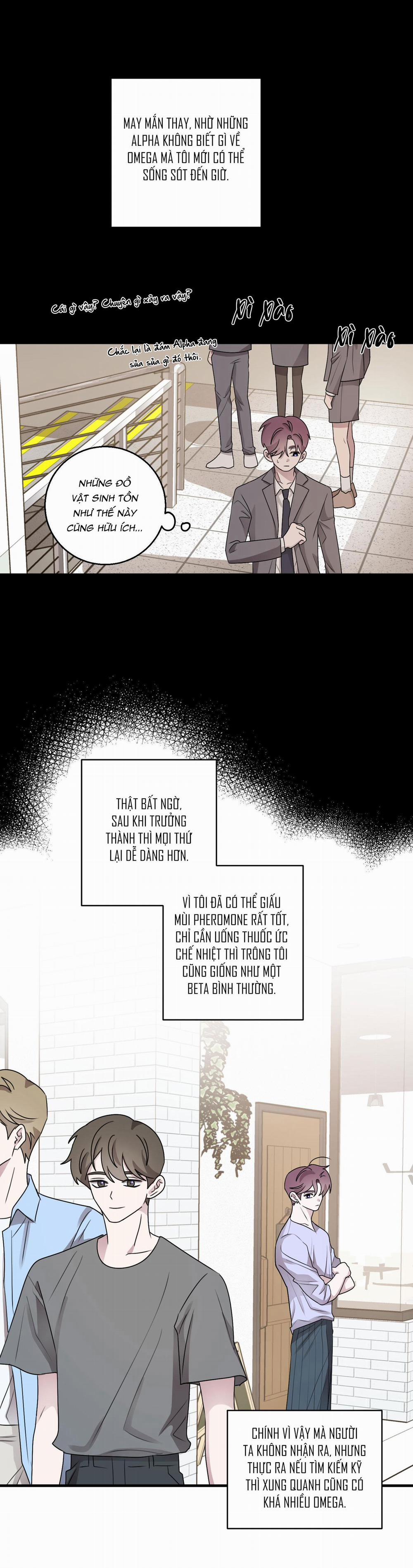 Chuyện Tình Alpha 21 OMEGA trang 17