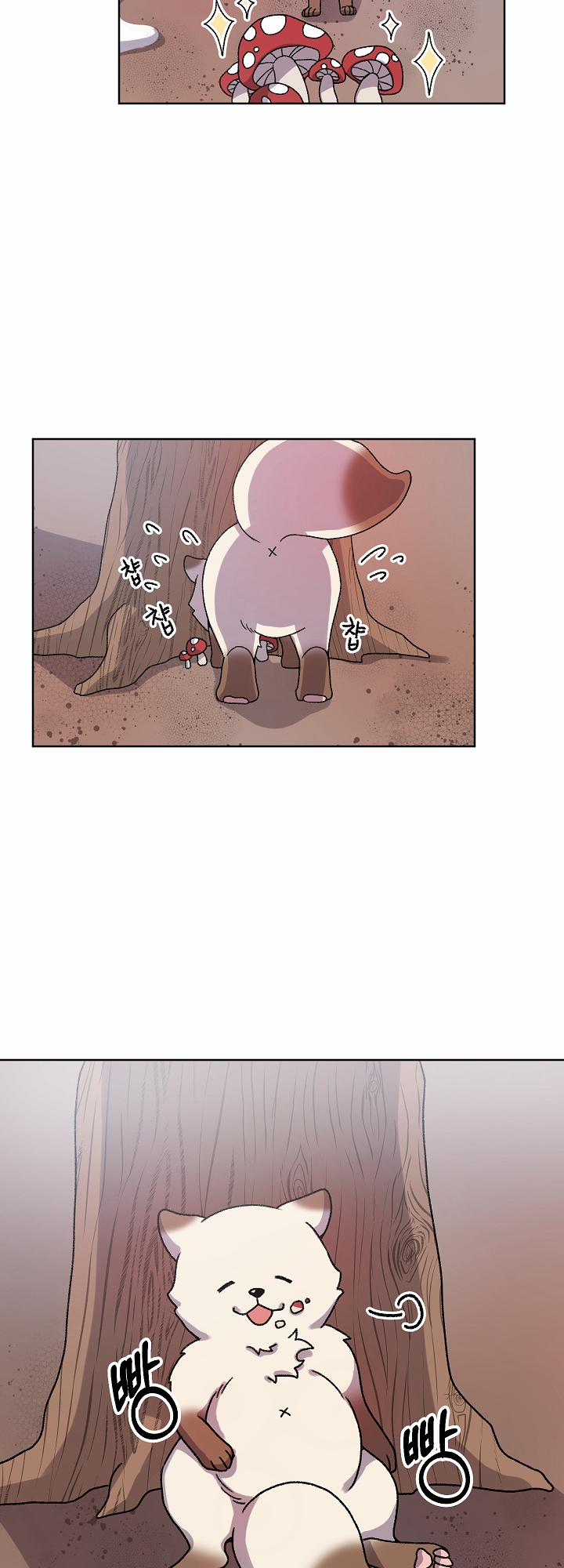 Chuyện Tình Cáo Và Sói 21.1 trang 11