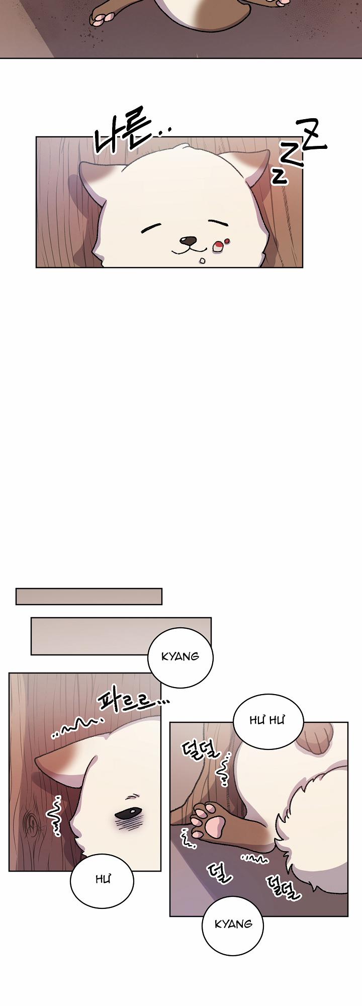 Chuyện Tình Cáo Và Sói 21.1 trang 12