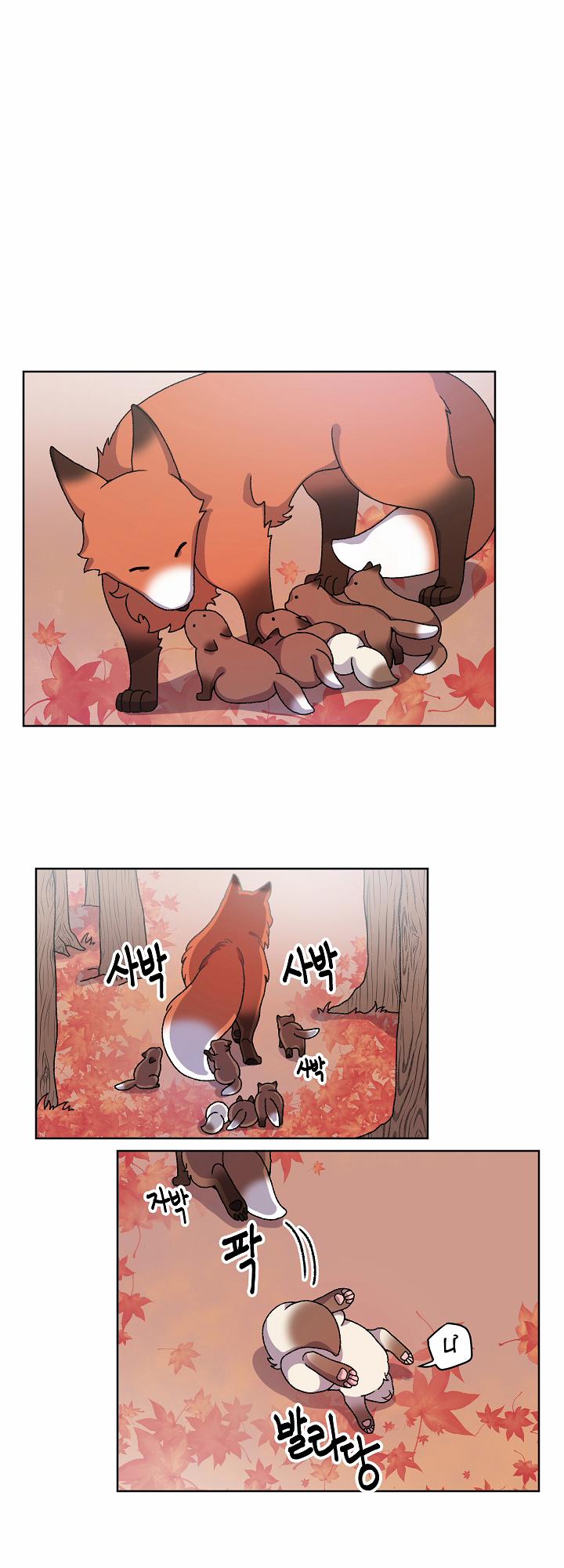 Chuyện Tình Cáo Và Sói 21.1 trang 3