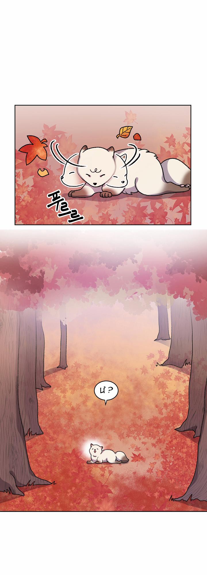 Chuyện Tình Cáo Và Sói 21.1 trang 4