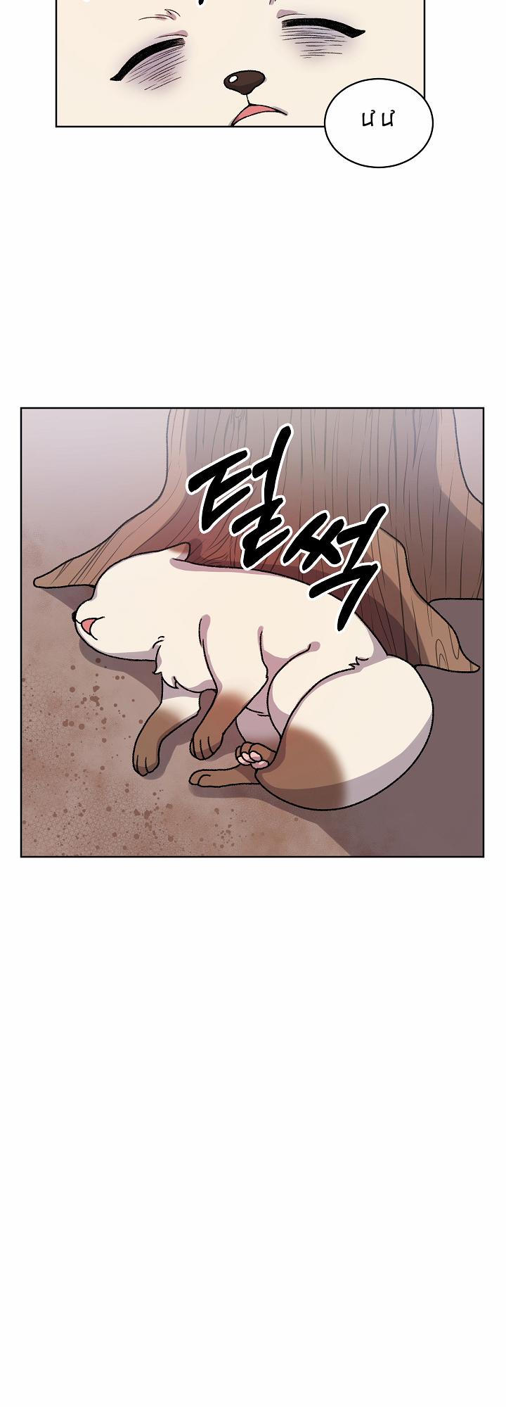 Chuyện Tình Cáo Và Sói 21.2 trang 1