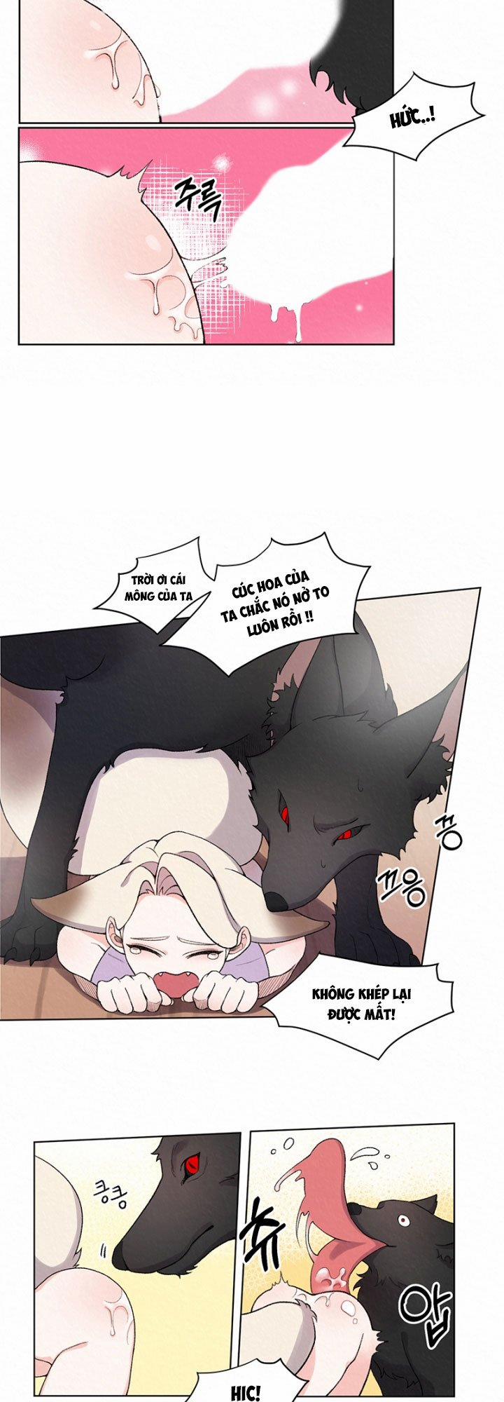 Chuyện Tình Cáo Và Sói 5.1 trang 2